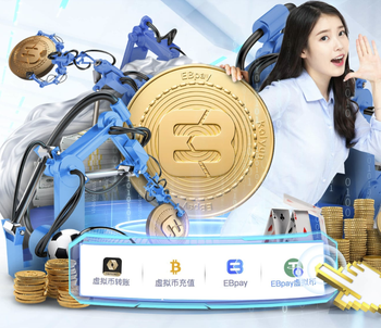 卫报：切尔西对恩佐极为不满，部分人认为他离队也并非灾难